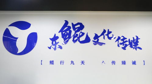 山东东鲲文化传媒