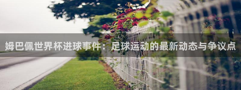 中国 世界杯：姆巴佩世界杯进球事件：足球运动的最新动态与争议点