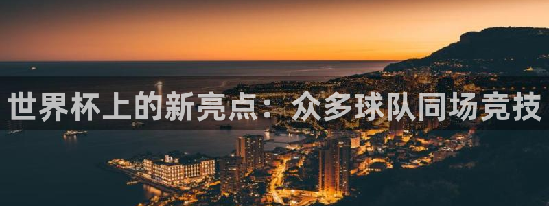 足球世预赛：世界杯上的新亮点：众多球队同场竞技