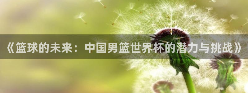 足球世界杯2026年赛程时间表：《篮球的未来：中国男篮世界杯的潜力与挑战》
