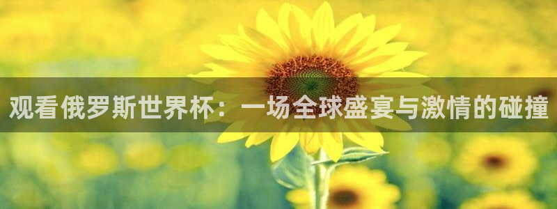 世界杯对阵图2026：观看俄罗斯世界杯：一场全球盛宴与激情的碰撞