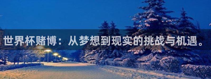 世界杯预选赛排名：世界杯赌博：从梦想到现实的挑战与机遇。