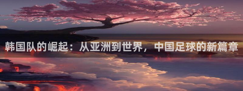 世界杯欧洲区预选赛赛程：韩国队的崛起：从亚洲到世界，中国足球的新篇章