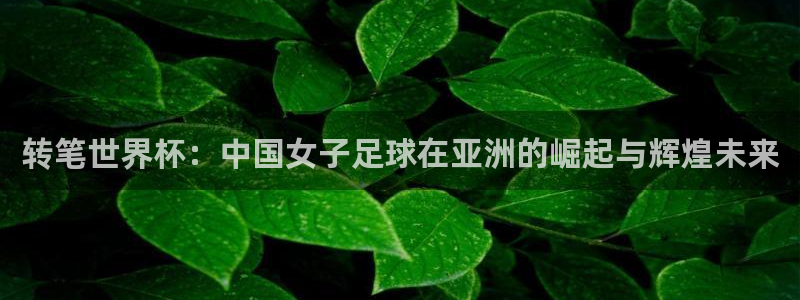 世界杯球赛：转笔世界杯：中国女子足球在亚洲的崛起与辉煌未来