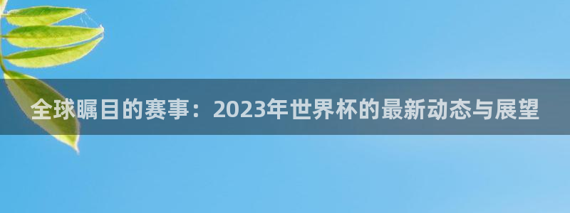 国际足联世界杯：全球瞩目的赛事：2023年世界杯的最新动态与展望