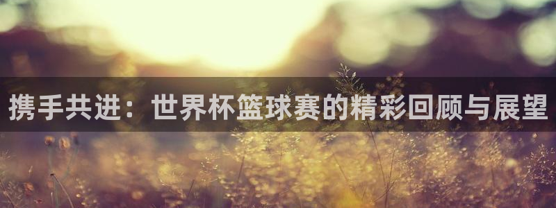 世界杯48支球队赛制：携手共进：世界杯篮球赛的精彩回顾与展望