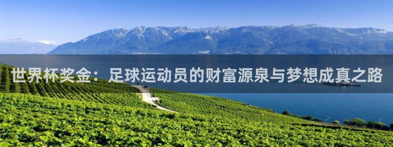 世界杯 2026：世界杯奖金：足球运动员的财富源泉与梦想成真之路