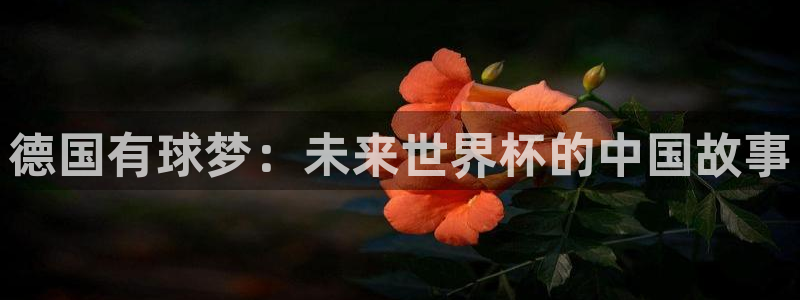 2026年世界杯直播平台：德国有球梦：未来世界杯的中国故事