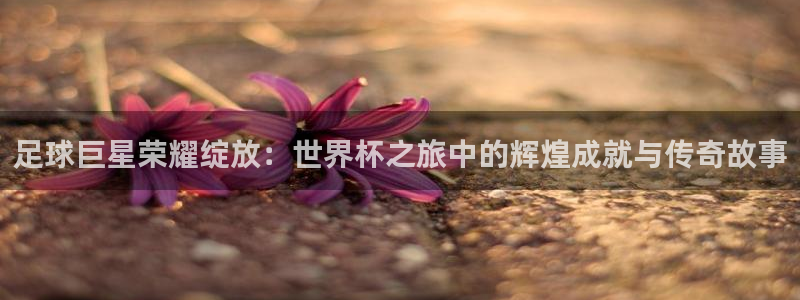 世界杯2026比赛时间表：足球巨星荣耀绽放：世界杯之旅中的辉煌成就与传奇故事